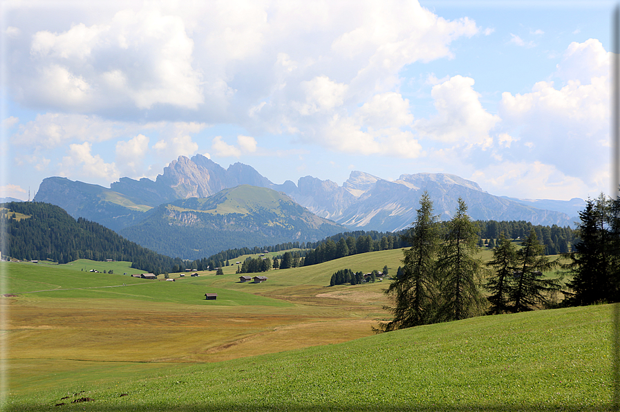 foto Alpe di Siusi